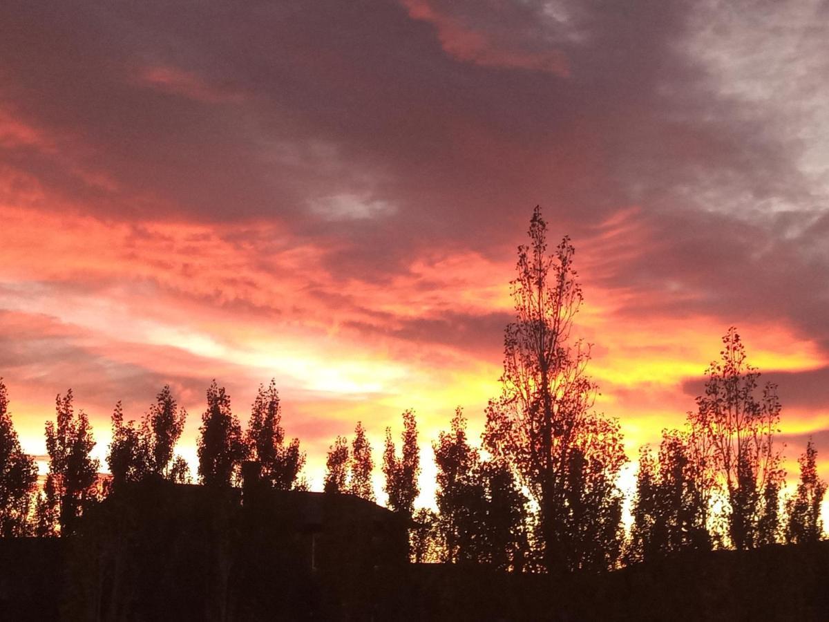 Cielos Patagonicos Aparts El Calafate Esterno foto